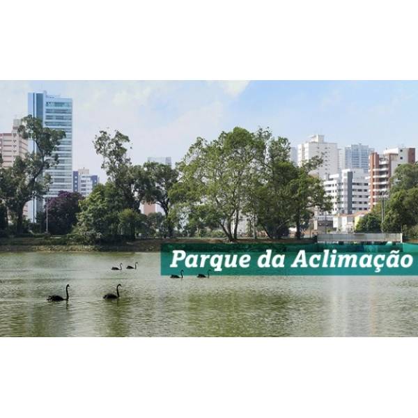 Auto Escola Habilitado Preço na Aclimação - Auto Escola para Habilitados em São Paulo